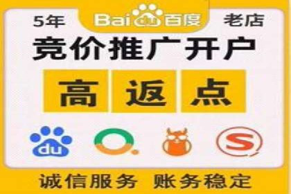 百度竞价包年推广的典型案例与效果展示